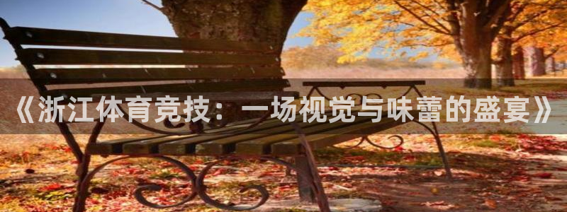 178足球直播 不延迟：《浙江体育竞技：